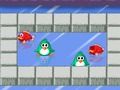 Igra Pingvin vs Fish  online
