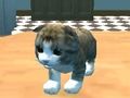 Igra Mačka simulator: Kitty Craft! online