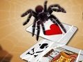 Igra Skakajući pauk online Igra Skakajući pauk online
