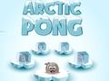 Igra Arktički pong  online