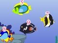 Igra Algebarska riba Frenzy  online