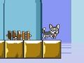 Igra Gospodin Jump Husky online Igra Gospodin Jump Husky online