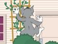 Igra Tom i Jerry: Wasserbomben Wahnsinn  online