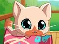Igra Moj Pocket kućni ljubimci Kitty Cat  online