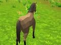 Igra Simulator konja 3D  online