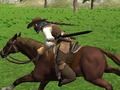 Igra Simulator jahača konja  online