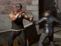 Igra Raging Punch 3d online