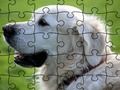Igra Jigsaw Puzzle Domaće životinje  online