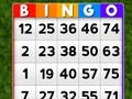 Igra Bingo online Igra Bingo online