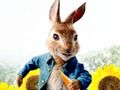 Igra Peter Rabbit: Problemi u labirintu  online