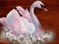 Igra Ljubav ptica puzzle  online