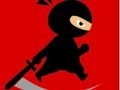 Igra Gospodin Ninja Fighter  online