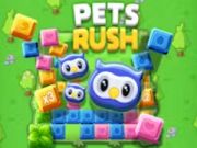 Igra Kućni ljubimci Rush online Igra Kućni ljubimci Rush online