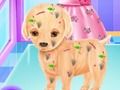 Igra Baby Elsa Puppy kirurgija online Igra Baby Elsa Puppy kirurgija online