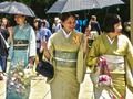 Igra 100 leptira u Japanu  online