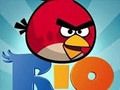 Igra Zlo ptice Rio online