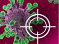 Igra Uništiti virus  online