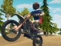 Igra Dirt Bike Enduro Racing online