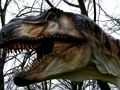 Igra Slagalica za dinosaure T-Rex  online