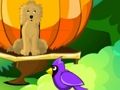 Igra Blossom Garden Escape online