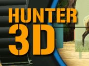 Igra Hunter 3d online