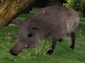 Igra Jigsaw za lov na veprove  online