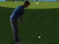 Igra Flash Golf 3D  online