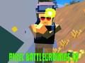 Igra Pixel Battlegrounds. IO  online