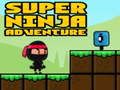 Igra Super avanturistička ninja  online