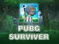 Igra PUBG Survivor  online