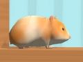 Igra Hamster Maze na mreži online
