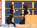 Igra Snajperski majstor 3d online