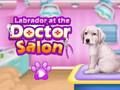 Igra Labrador u liječničkom salonu  online