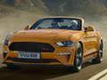 Igra Specijalni tobogan za Ford Mustang California  online