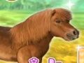 Igra Dragi moj poni  online