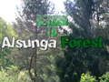 Igra Povratak u šumu Alsunga  online