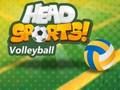Igra Head Sport Odbojka  online