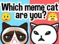 Igra Koja si ti Meme mačka?  online