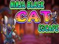 Igra Ninja crna mačka bijeg  online