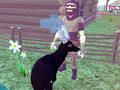 Igra Simulator jelena 3D  online