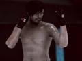 Igra MFS: MMA borac  online