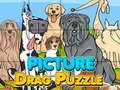 Igra Slika Drag Puzzle  online