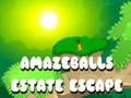 Igra Amazeballs Escape Escape online