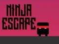 Igra Ninja bijeg  online