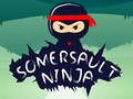 Igra Ninja za prevrtanje  online