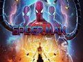 Igra Spider Man: Multiverzum  online