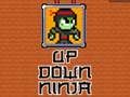 Igra Gore dolje Ninja  online
