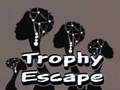 Igra Bijeg od trofeja  online