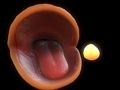 Igra Pac Man  online