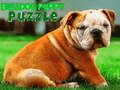 Igra Bulldog Puzzle Puzzle  online
